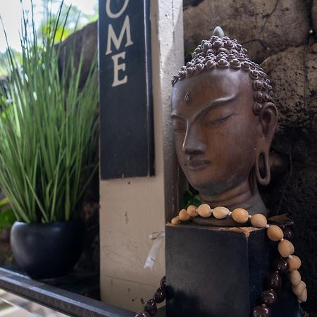 Unit 18 Maui Ohana Modern Studio Wailuku المظهر الخارجي الصورة