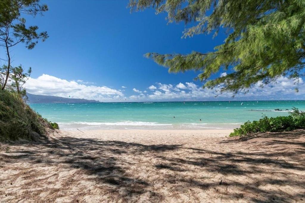 Unit 18 Maui Ohana Modern Studio Wailuku المظهر الخارجي الصورة